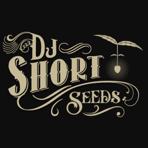 DJ Short - Old World Genetics